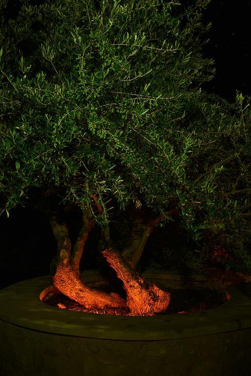 Olive Coast Suites باليكاسترون المظهر الخارجي الصورة