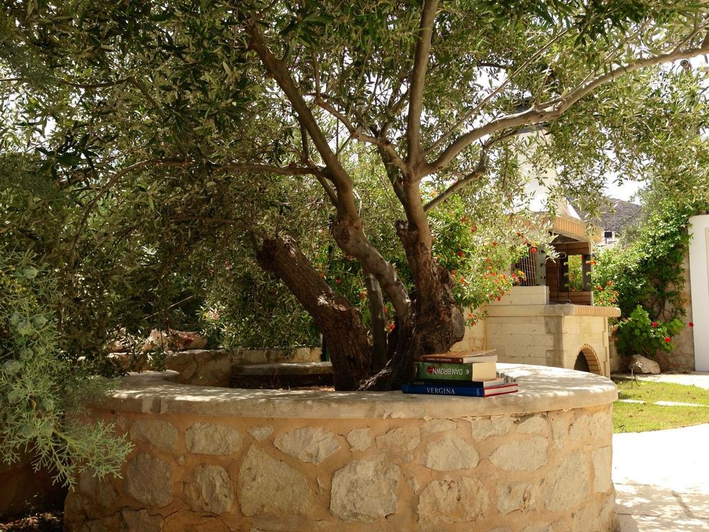 Olive Coast Suites باليكاسترون المظهر الخارجي الصورة